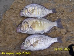 slabs1.JPG