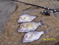 slabs2.JPG