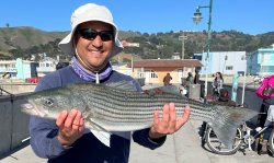 pacifica pier striper 05122025.jpg