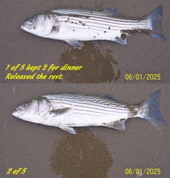 combine5.jpg