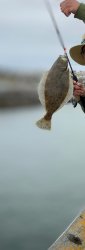 IMG_20250330_181257~3.jpg