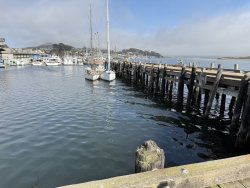 2025.6.25_Morro Bay_North T-Pier.2 copy.jpg