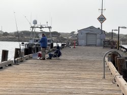 2025.6.25_Morro Bay_North T-Pier.10 copy.jpg