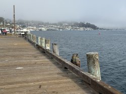 2025.6.25_Morro Bay_North T-Pier.9 copy.jpg