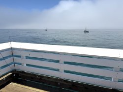 2025.6.26_San Simeon Pier.5 copy.jpg