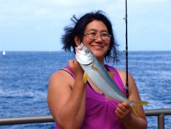 Cat_2014_Mole_Yellowtail_Rita5.JPG