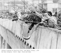Pacifica_1985_mob_DFG.jpg
