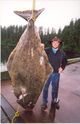 420 Lb. Halibut.jpg