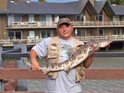 Leopard.Shark_Greenwood.Cove.P_2012_Brian Linebarger.3.jpg