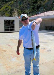 Barracuda_Cabrillo.Mole_2003_Adam.jpg
