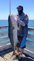 Yellowtail_Crystal Pier_2019.8.19_53.46 Lb_Big Angel.2.jpg