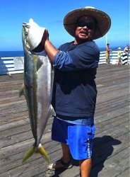 Yellowtail_Crystal Pier_2015.8.3_46 Lb 5 Oz_Thomas Shinsato_1.jpg