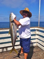Yellowtail_Crystal Pier_2016.8.13_Thomas Shinsato.jpg