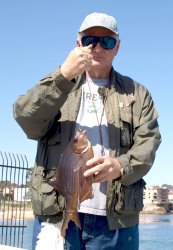 Striped.Perch_MCGP_2010_3_2 copy.jpg