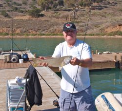 Yellowfin Croaker_Cat.Harbor_2012.11.3_KJ.jpg