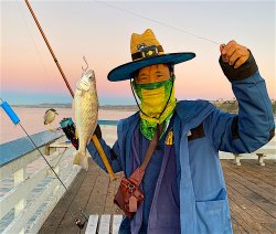 Yellowfin Croaker_SCP_2020.12.1.jpg