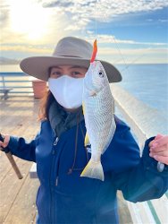 Yellowfin Croaker_SCP_2021.1.2.2.jpg