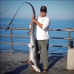 Thresher_HBPier_Oscar_72lb.jpg