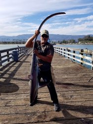 Thresher.shark_Goleta.9.2017.jpg