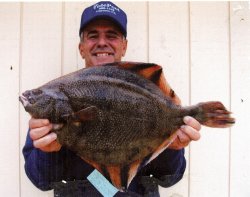 Starry.Flounder_Cayucos.P_2008_8lb.c.JPG