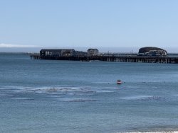 PSL_2025.8_Pier.1 copy.jpg