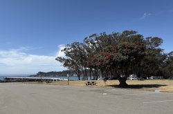 San Simeon_2025.8_Pier.13_Parking copy.jpg