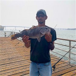 Sand. Bass_Embarcadero.Marina.jpg