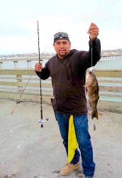 Sand Bass_OB.Pier_2016.jpg