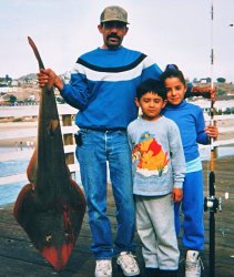 Shovelnose_Pismo.Beach.Pier_2000.JPG
