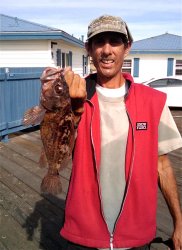 Brown.Rockfish_Crystal_2010_1.9 copy.jpg