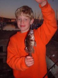 Brown Rockfish_Pillar.Poiint.Pier_2006_minnow.jpg