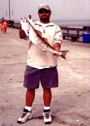 WSB_Newport_2002_11.4_Humberto - Version 2.jpg