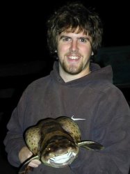 2. swell_shark_goleta_02_189.jpg