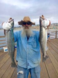 Shortfin Corvina_Oceanside.P_2016.10_Mark.jpg