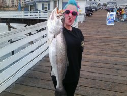 Shortfin Corvina_Crystal_Kara_ 28in_7.2015.jpg