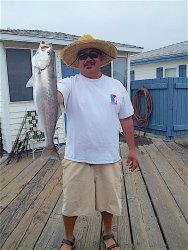 Shortfin Corvina_Crystal_2015.6.13.2.jpg