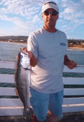 Shortfin Corvina_Crystal_Tony.Troncale_2010.jpg