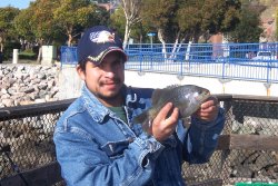 Blackperch_ER_2004_2 copy.jpg