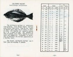 16-17. CA Halibut.jpg