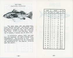 18-19. Kelp Bass.jpg