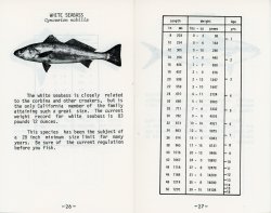 26-27. White Seabass.jpg