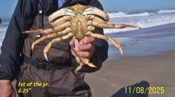 1stcrab.JPG