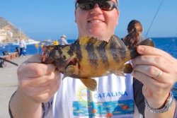 Cat_2009_Mole_Treefish_Adam copy.jpg