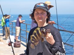 Cat_2011_Mole_Treefish_Ryan1.1 copy.jpg