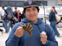 Cat_2010_Mole_Treefish_Tomas1 copy.jpg