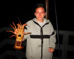 Cat_2002_GPP_Lobster_Lisa1.jpg