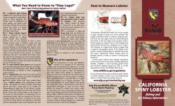 1. Lobster.brochure.4.6.15 copy 2.jpg