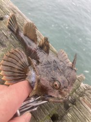 IMG_6358.JPEG