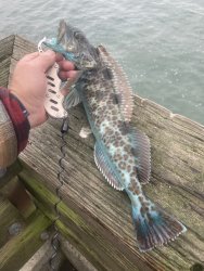 IMG_6367.JPEG