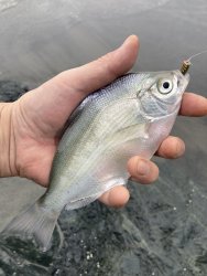 IMG_6738.JPEG